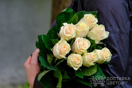 Букет из 9 кремовых роз "Талея"
